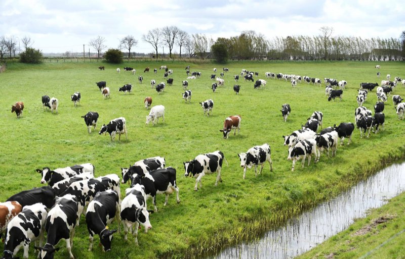 2024 - Webinar_sturen op een duurzaam verdienmodel in de melkveehouderij